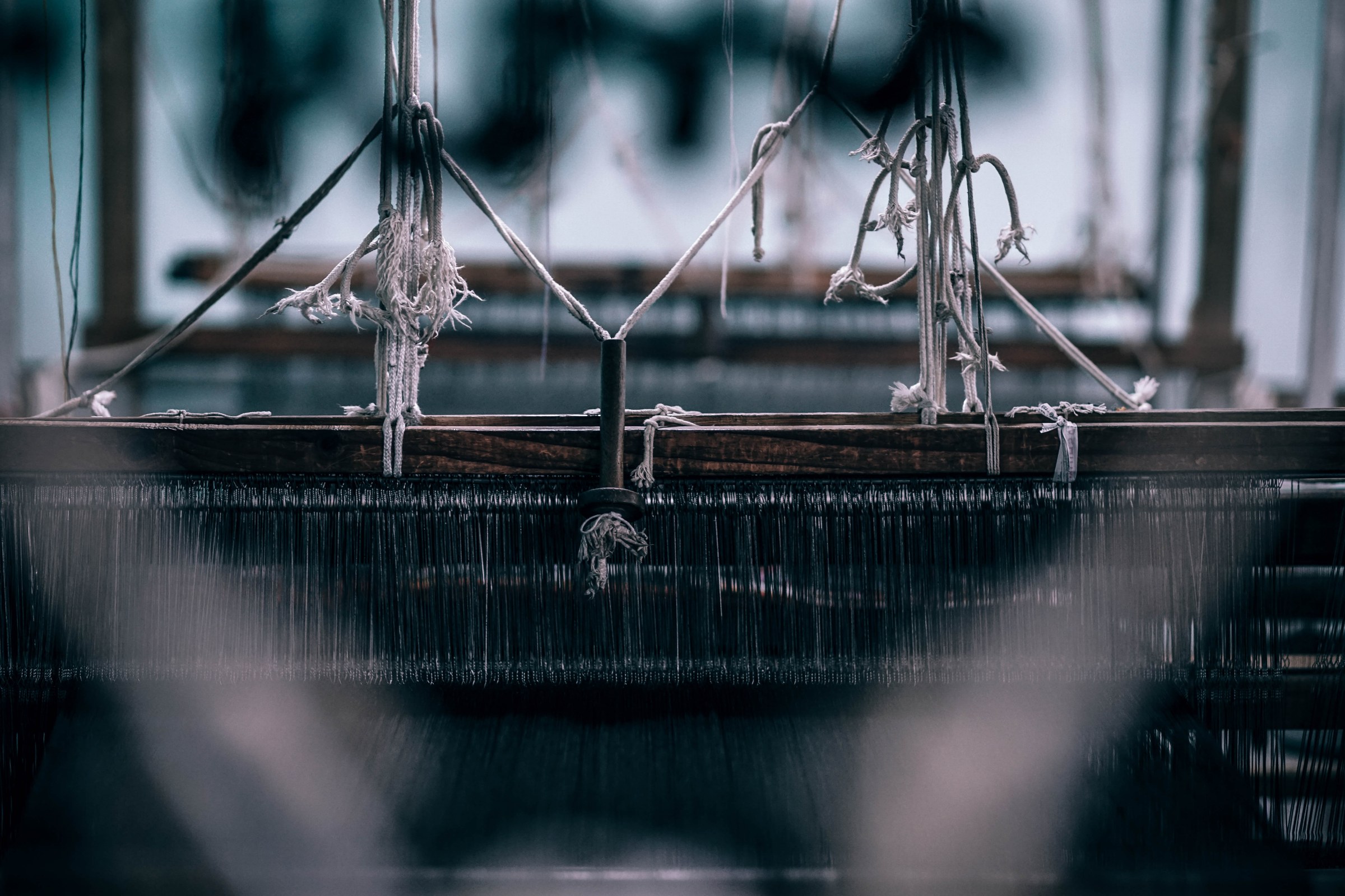 Warp threads running through the heddles of a loom